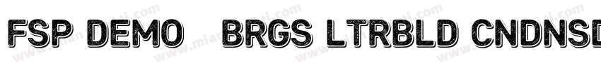 FSP DEMO   Brgs ltrBld Cndnsd Itali字体转换